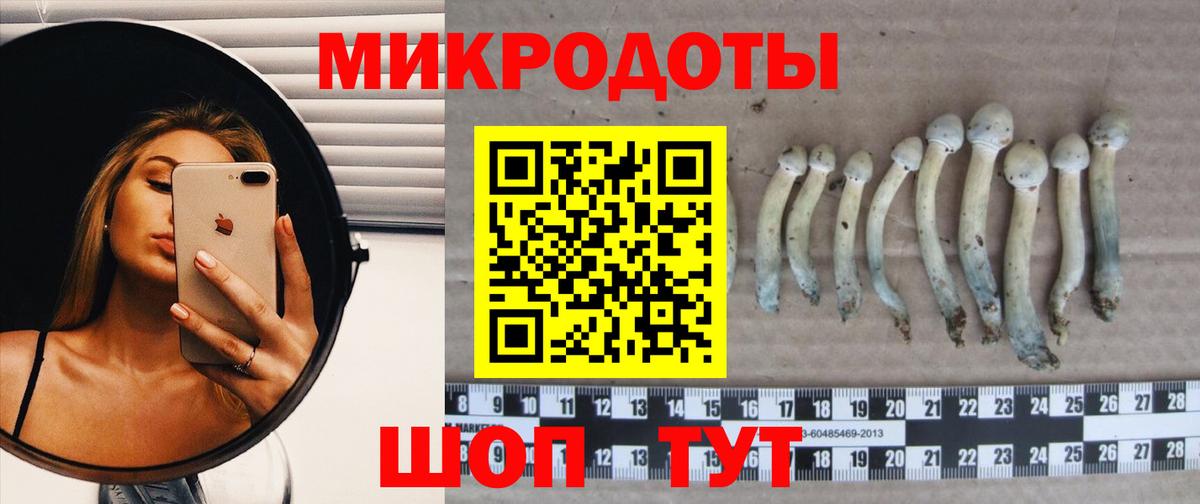 Псилоцибиновые грибы GOLDEN TEACHER  Вход с VPN  Нижневартовск 